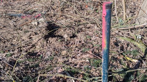 ..und die Grenzen markiert.