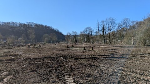 Die Baumfällung ist abgeschlossen, bevor die gesetzlich zu berücksichtigende Vogelschutzzeit am 01.03. beginnt.