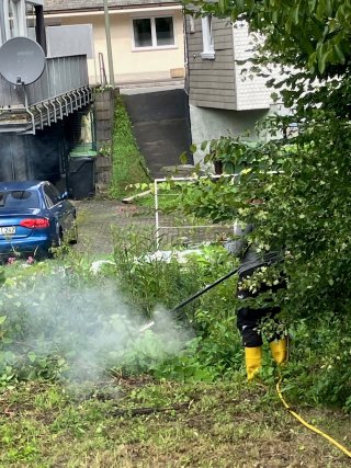 Bekämpfung der Herkulesstaude an der Dörspe durch die Firma Weikamms Nature Force