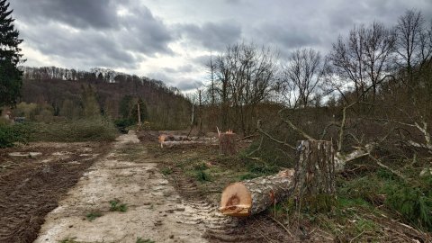 Teile der freigelegten Bodenbefestigungen